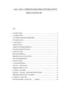 2025-2030小型便利店連鎖品牌運營管理技術(shù)研究規(guī)劃行業(yè)前景分析