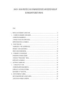 2025-2030鞋類行業市場現狀供需分析投資風險評估規劃研究報告格局