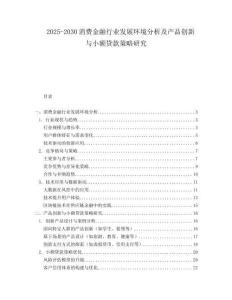 2025-2030消費(fèi)金融行業(yè)發(fā)展環(huán)境分析及產(chǎn)品創(chuàng)新與小額貸款策略研究