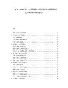 2025-2030消防安全設(shè)備行業(yè)現(xiàn)狀競爭分析投資評估市場調(diào)研規(guī)劃報告