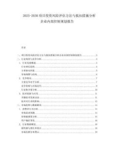 2025-2030項目投資風險評估方法與抵扣措施分析企業(yè)內部控制規(guī)劃報告