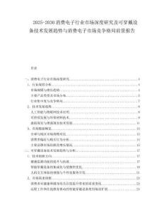 2025-2030消費電子行業(yè)市場深度研究及可穿戴設(shè)備技術(shù)發(fā)展趨勢與消費電子市場競爭格局前景報告