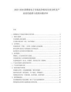 2025-2030消費(fèi)級(jí)電子市場(chǎng)競(jìng)爭(zhēng)格局全景分析及產(chǎn)品迭代趨勢(shì)與投資回報(bào)評(píng)審