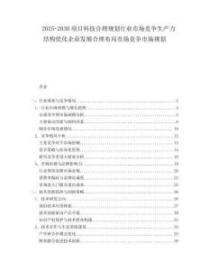 2025-2030項目科技合理規(guī)劃行業(yè)市場競爭生產(chǎn)力結(jié)構(gòu)優(yōu)化企業(yè)發(fā)展合理布局市場競爭市場規(guī)劃