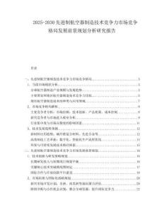 2025-2030先進制航空器制造技術競爭力市場競爭格局發(fā)展前景規(guī)劃分析研究報告