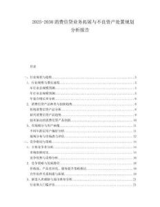 2025-2030消費(fèi)信貸業(yè)務(wù)拓展與不良資產(chǎn)處置規(guī)劃分析報(bào)告