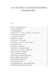 2025-2030消費(fèi)電子行業(yè)市場發(fā)展分析及趨勢前景與投資戰(zhàn)略研究報(bào)告