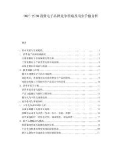 2025-2030消費(fèi)電子品牌競(jìng)爭(zhēng)策略及商業(yè)價(jià)值分析