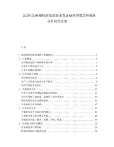 2025-2030橡膠輪胎制造業(yè)發(fā)展前景消費(fèi)趨勢(shì)預(yù)測(cè)分析研究方案