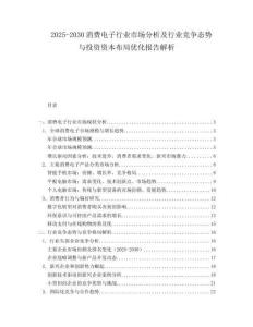 2025-2030消費(fèi)電子行業(yè)市場(chǎng)分析及行業(yè)競(jìng)爭(zhēng)態(tài)勢(shì)與投資資本布局優(yōu)化報(bào)告解析