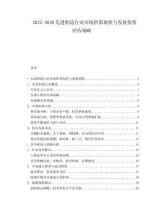 2025-2030先進(jìn)制造行業(yè)市場供需現(xiàn)狀與發(fā)展投資評估戰(zhàn)略