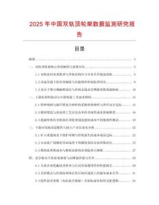 2025年中國雙軌頂輪架數據監測研究報告