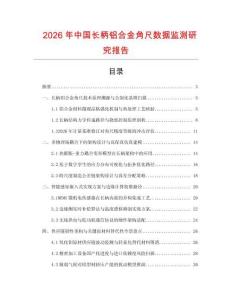 2026年中國長柄鋁合金角尺數據監測研究報告