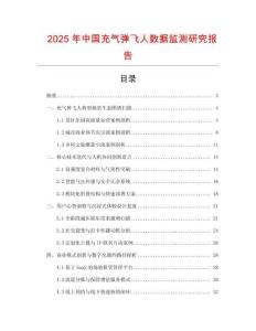 2025年中國充氣彈飛人數據監(jiān)測研究報告