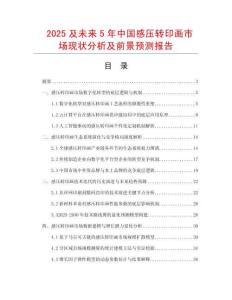 2025及未來5年中國感壓轉印畫市場現狀分析及前景預測報告