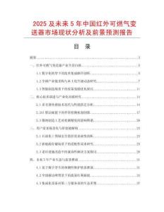 2025及未來5年中國紅外可燃氣變送器市場現狀分析及前景預測報告