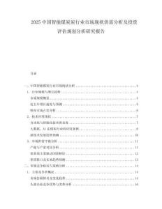 2025中國智能煤炭炭行業市場現狀供需分析及投資評估規劃分析研究報告