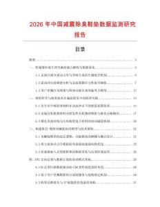 2026年中國減震除臭鞋墊數(shù)據(jù)監(jiān)測研究報(bào)告
