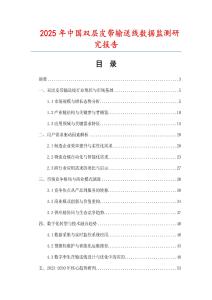 2025年中國雙層皮帶輸送線數據監測研究報告