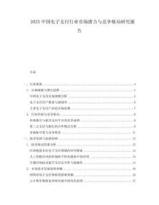 2025中國電子支付行業市場潛力與競爭格局研究報告