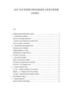 2025-2030智慧城市基礎(chǔ)設(shè)施建設(shè)與投資回報預(yù)測分析報告