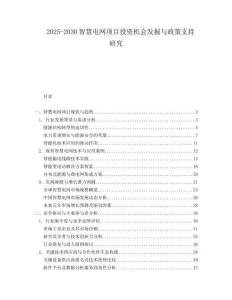 2025-2030智慧電網(wǎng)項目投資機會發(fā)掘與政策支持研究