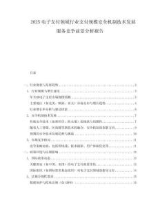 2025電子支付領域行業支付規模安全機制技術發展服務競爭前景分析報告