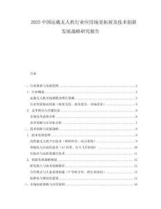 2025中國運載無人機行業(yè)應用場景拓展及技術(shù)創(chuàng)新發(fā)展戰(zhàn)略研究報告