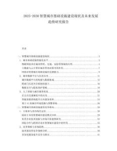 2025-2030智慧城市基礎(chǔ)設(shè)施建設(shè)現(xiàn)狀及未來發(fā)展趨勢研究報告