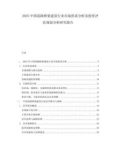 2025中國道路橋梁建設行業(yè)市場供需分析及投資評估規(guī)劃分析研究報告
