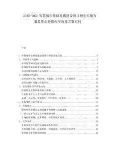 2025-2030智慧城市基础设施建设项目规划实施方案及资金筹措程序决策方案布局
