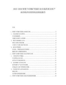 2025-2030智慧個(gè)舊錫礦資源行業(yè)市場供需分析產(chǎn)業(yè)結(jié)構(gòu)評(píng)估投資收益規(guī)劃報(bào)告