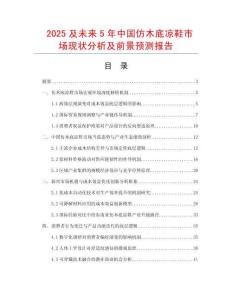 2025及未來5年中國仿木底涼鞋市場現狀分析及前景預測報告