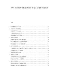 2025中國登山鞋性能測試標(biāo)準(zhǔn)與國際對標(biāo)研究報告