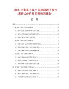 2025及未來5年中國耐腐液下泵市場現狀分析及前景預測報告