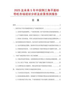 2025及未來5年中國倒三角平面砂帶機市場現狀分析及前景預測報告