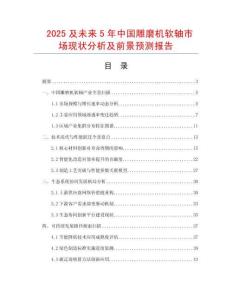 2025及未來5年中國雕磨機軟軸市場現狀分析及前景預測報告