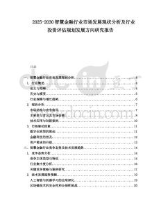2025-2030智慧金融行業(yè)市場(chǎng)發(fā)展現(xiàn)狀分析及行業(yè)投資評(píng)估規(guī)劃發(fā)展方向研究報(bào)告
