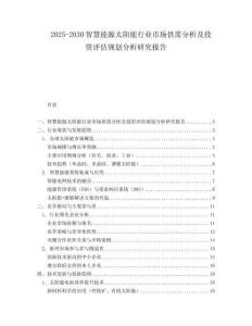 2025-2030智慧能源太陽能行業(yè)市場供需分析及投資評估規(guī)劃分析研究報告