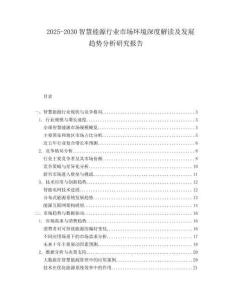 2025-2030智慧能源行業(yè)市場環(huán)境深度解讀及發(fā)展趨勢分析研究報告