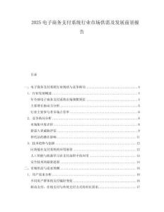 2025電子商務(wù)支付系統(tǒng)行業(yè)市場供需及發(fā)展前景報告