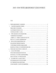 2025-2030智慧交通系統(tǒng)規(guī)劃與發(fā)展分析報(bào)告