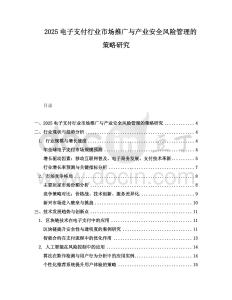 2025電子支付行業(yè)市場推廣與產(chǎn)業(yè)安全風(fēng)險管理的策略研究