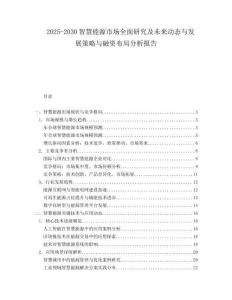 2025-2030智慧能源市場全面研究及未來動態(tài)與發(fā)展策略與融資布局分析報告
