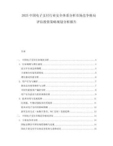 2025中國電子支付行業(yè)安全體系分析市場競爭格局評估投資策略規(guī)劃分析報告