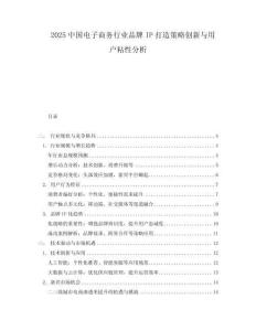 2025中國電子商務(wù)行業(yè)品牌IP打造策略創(chuàng)新與用戶粘性分析
