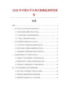 2026年中國水平尺角尺數據監測研究報告