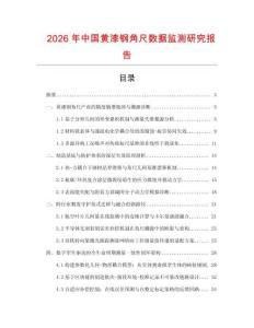 2026年中國黃漆鋼角尺數據監測研究報告