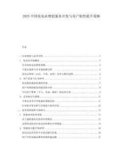 2025中国充电站增值服务开发与用户粘性提升策略
