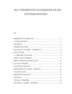 2025中國智能教育培訓行業市場現狀供需分析及投資評估規劃分析研究報告